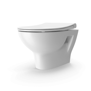 New Modern Toilet