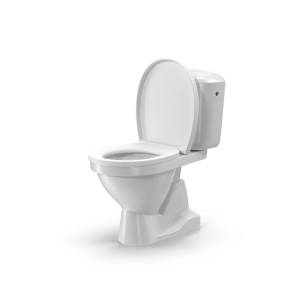 Wall-Mounted Toilet