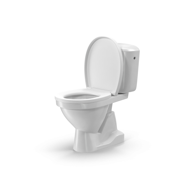 Wall-Mounted Toilet