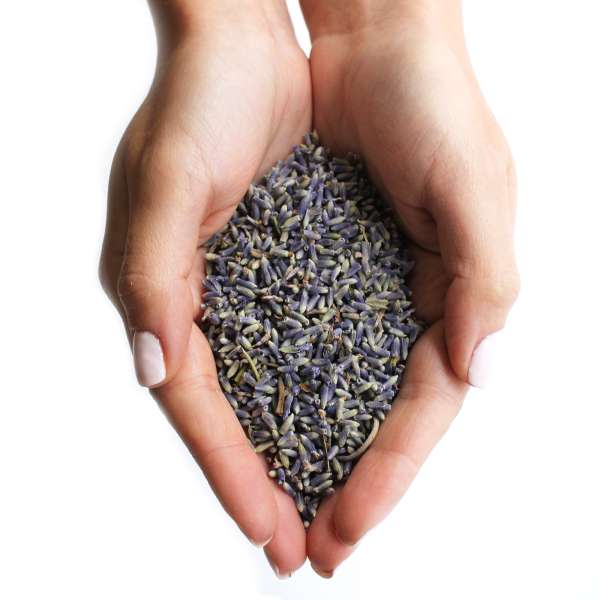 Lavender Flowers (1KG) - Image 4